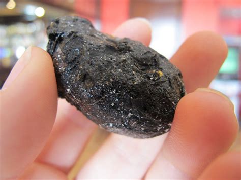 ambergris in tagalog|Ambergris: Myths, Truths, and Half.